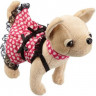 Собачка Chi Chi Love Розовая мечта в платье с пледом и сумкой 5899700 2
