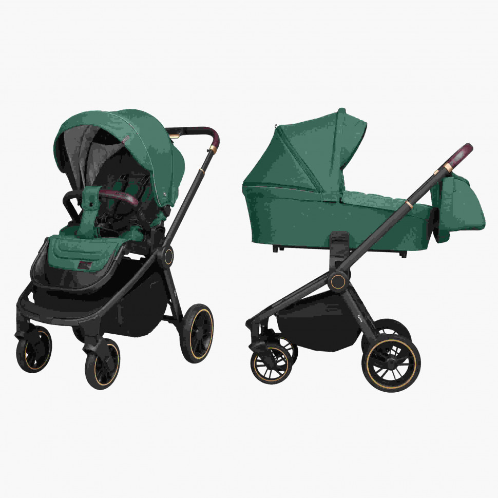Детская коляска 2 в 1 CARRELLO Epica CRL-8510/1 Tea Green черная рама