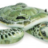 Intex Ride on toy real turtle 57555