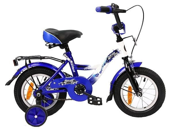 Велосипед 2-х колесный 12" SAFARI proff Стихии синий  GT7826