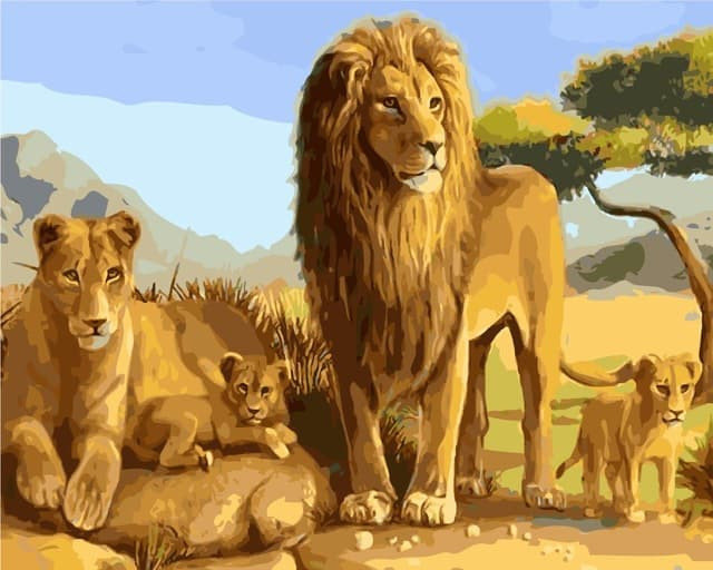 Роспись по холсту Африканские львы 40х50 см Картина по номерам